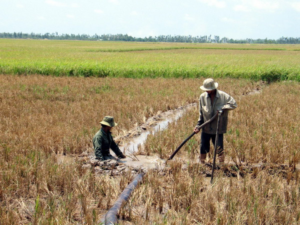 Đêm 29/5 nhiều khu vực Bắc Bộ và Trung Bộ có mưa rào và dông ảnh 1