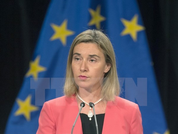 EU muốn ra quy định gắn nhãn sản phẩm từ các khu định cư Do Thái ảnh 1