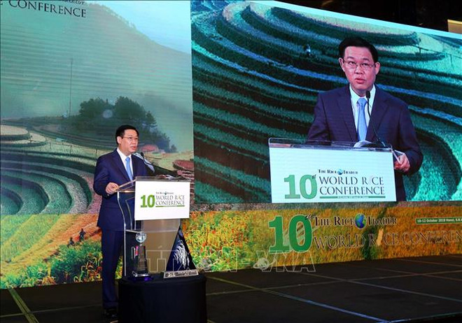 Khẳng định thương hiệu gạo Việt, thâm nhập sâu chuỗi giá trị toàn cầu ảnh 2