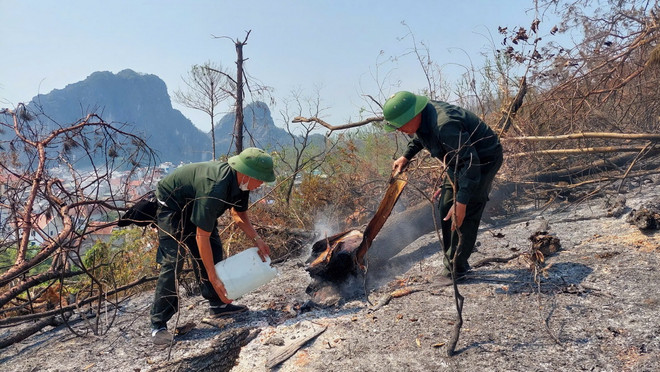 TTXVN_1610 trong rung Quang Ninh 3.jpg