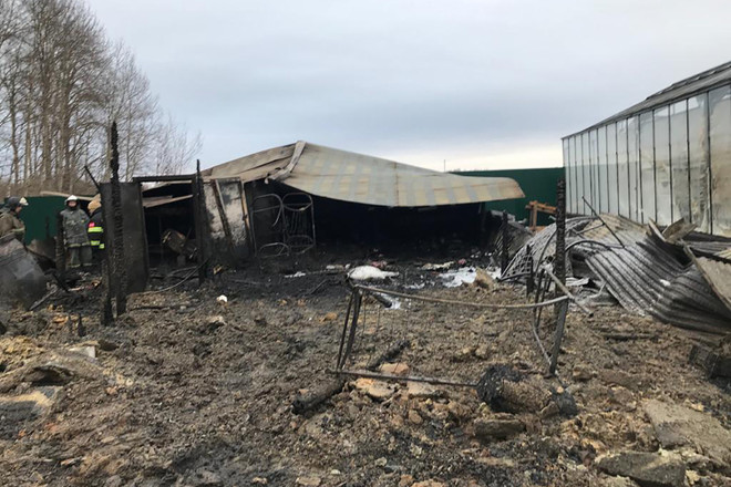 ​Nga: Xác minh thông tin người Việt gặp nạn trong vụ cháy nhà kính ảnh 1