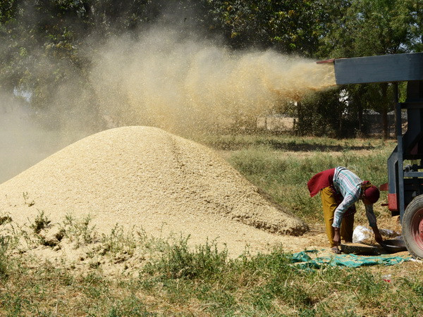 Thu nhập của lao động nông thôn tại châu Á tăng mạnh ảnh 1