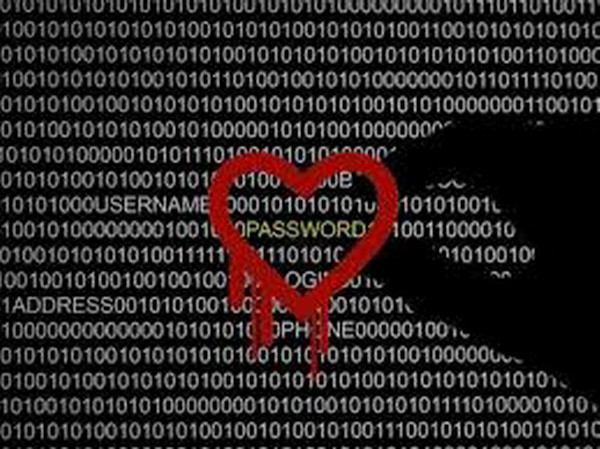 Canada bắt nghi phạm đánh cắp dữ liệu bằng Heartbleed ảnh 1