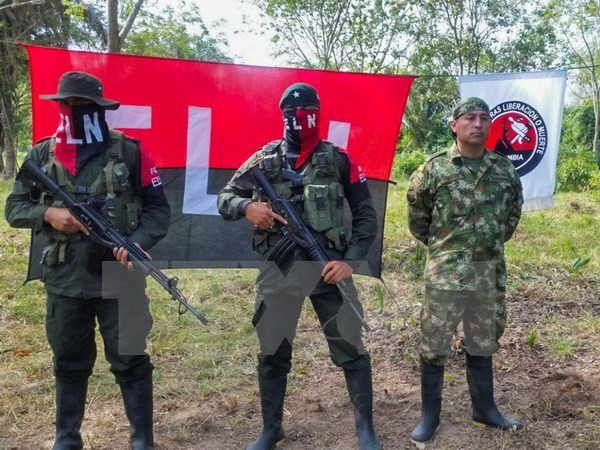Nhóm phiến quân Quân đội Giải phóng quốc gia (ELN) ở Colombia. (Nguồn: EPA/TTXVN) Thông tin trái ngược về việc hai phóng viên Hà Lan được phóng thích ảnh 1