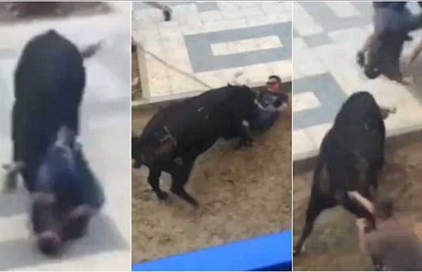 [Video] Kinh hoàng cảnh bò tót hung hãn húc chết người ở lễ hội ảnh 1