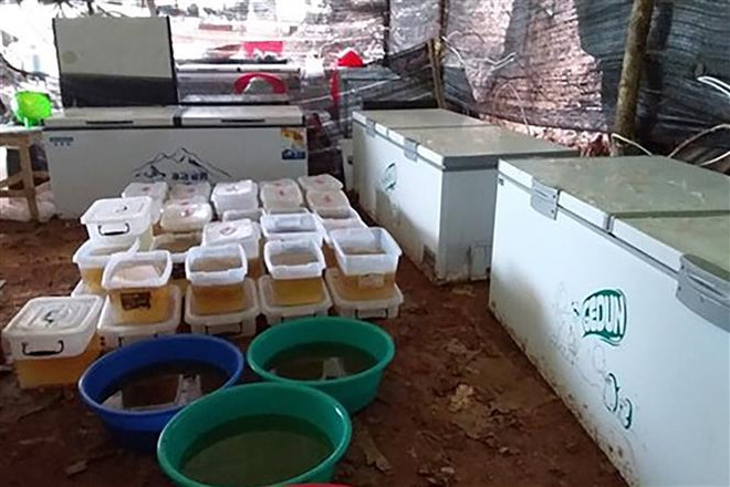 Myanmar thu giữ lượng ma túy tổng hợp lớn nhất khu vực Đông Nam Á ảnh 1