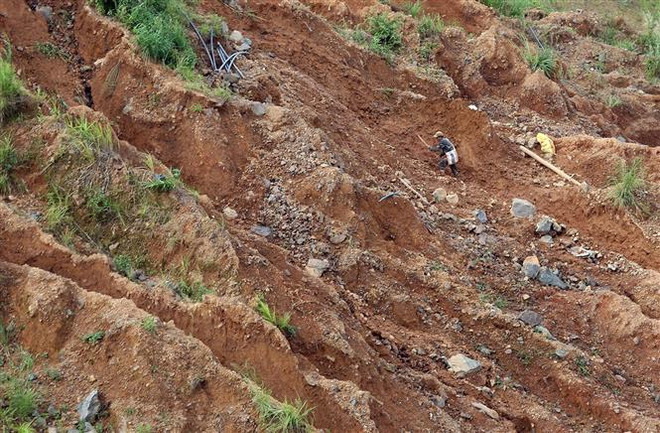 Yên Bái: Người dân đổ xô đi đào vàng sau tin đồn đào được đá quý 5 tỷ ảnh 1