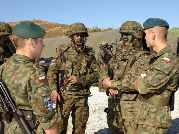 Ba Lan thông báo về cuộc diễn tập Anakonda-16 với NATO ảnh 1