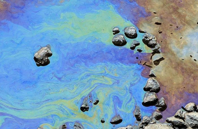 Italy lo ngại sự cố về tràn dầu có thể ảnh hưởng xấu đến du lịch ảnh 1