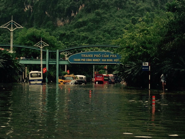 Đợt mưa lũ vừa qua tại Quảng Ninh là lớn nhất trong vòng 40 năm ảnh 1