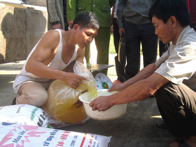 Kiển tra mỡ động vật chuyên chở trái phép. (Ảnh: Trịnh Duy Hưng/TTXVN) Thanh Hóa bắt giữ xe chở gần 8 tấn mỡ động vật không rõ nguồn gốc ảnh 1
