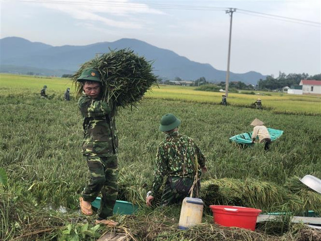 Chủ động phương án sơ tán, di dời các hộ dân vùng có nguy cơ trong bão ảnh 3