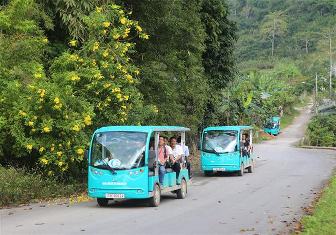 Cơ hội vàng phát triển thị trường xe ôtô điện tại Việt Nam ảnh 1