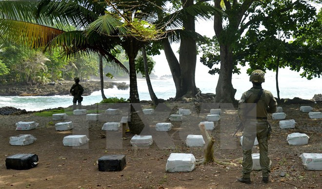 Lực lượng quân đội Colombia tịch thu hơn 1,5 tấn cocaine ảnh 1