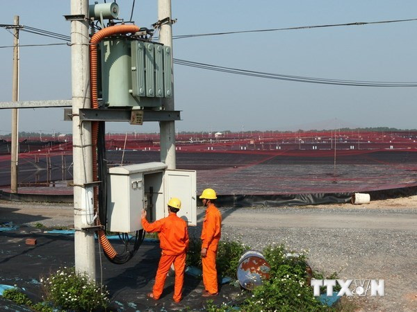 Thủ tướng chỉ đạo đảm bảo cấp điện cho KCN cao TP.HCM ảnh 1