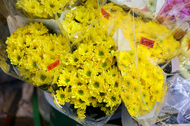 vnp_muasamocot2024 (9 of 24).jpg