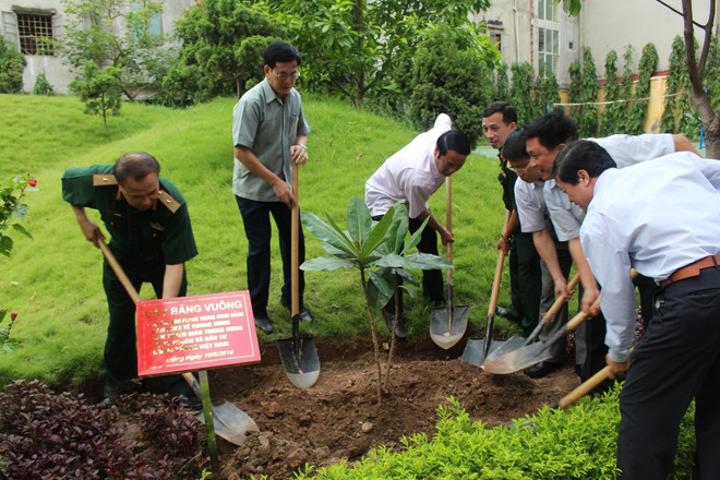 Đại diện Hội Cựu chiến binh 5 cơ quan Trung ương và Bộ tư lệnh Thông tin liên lạc trồng cây lưu niệm. (Ảnh: Hùng Võ/Vietnam+) Sâu lắng buổi gặp mặt Hội cựu chiến binh các cơ quan Trung ương ảnh 3