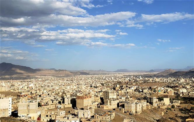 Saudi Arabia bắt giữ 22 tàu chở nhiên liệu và thực phẩm tới Yemen ảnh 1