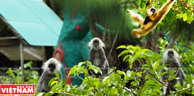 Khu du lịch Đại Nam - nơi không còn giới hạn của mọi đam mê ảnh 16