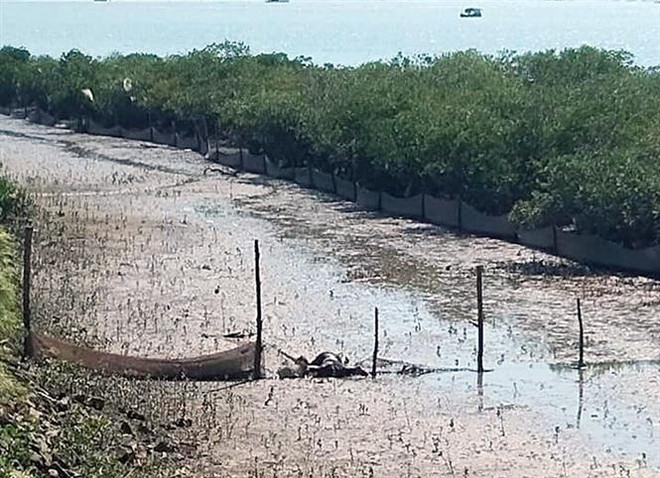 Quảng Ninh: Tìm thấy thi thể nạn nhân mất tích trên sông Ka Long ảnh 1