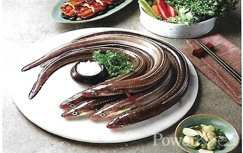 Người đàn ông ngộ độc nặng sau khi ăn cá chình tại Côn Đảo ảnh 1