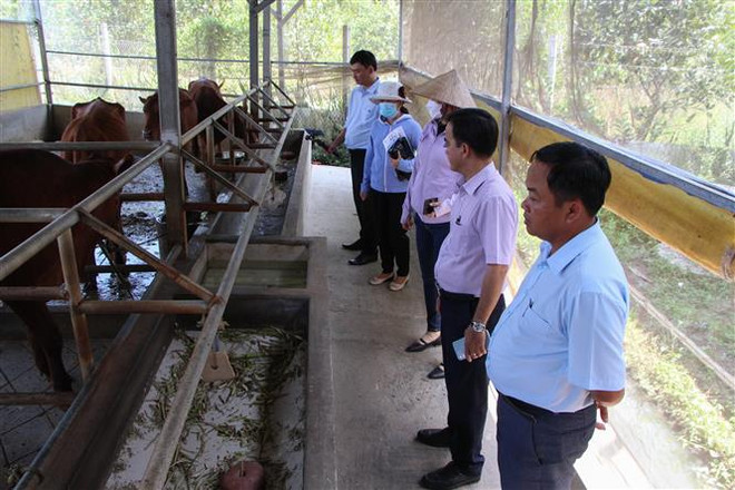 ASEAN nhấn mạnh vai trò của MSME trong hướng tới tương lai bền vững ảnh 2