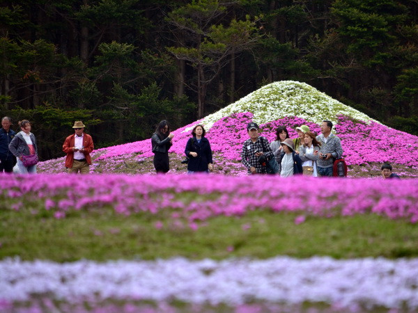 Lượng khách nước ngoài tới Nhật Bản có thể đã vượt 20 triệu lượt ảnh 1