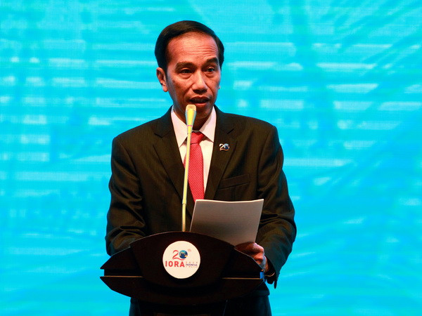 Tổng thống Indonesia sẽ tham dự Hội nghị Cấp cao APEC tại Việt Nam ảnh 1
