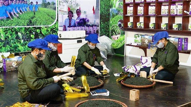 ttxvn che bup tim3.jpg