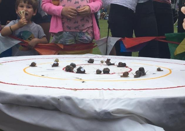 [Video] Ấn tượng cuộc đua 'tốc độ' ốc sên thế giới tại Anh ảnh 1