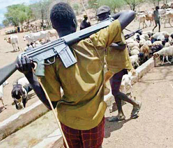 Xung đột ở miền Trung Bắc Nigeria, hơn 50 người thương vong ảnh 1