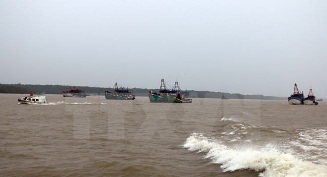 Ứng phó bão số 1: Bình Thuận cấm tàu, thuyền ra khơi từ ngày 3/1 ảnh 1