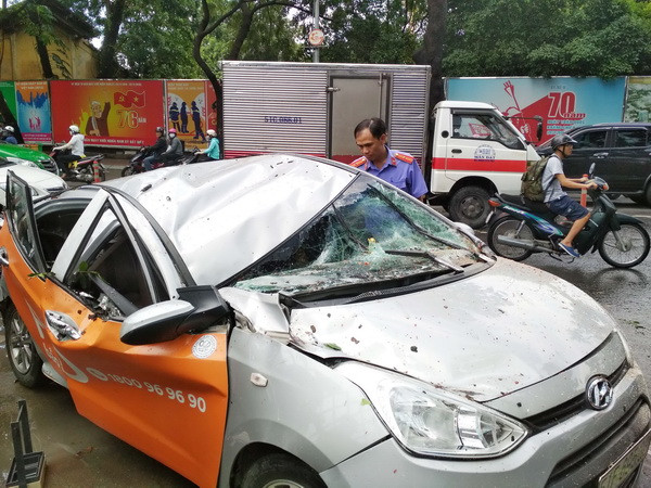 TP.HCM: Cây xanh bật gốc đè bẹp xe 4 chỗ, 1 người bị thương ảnh 1