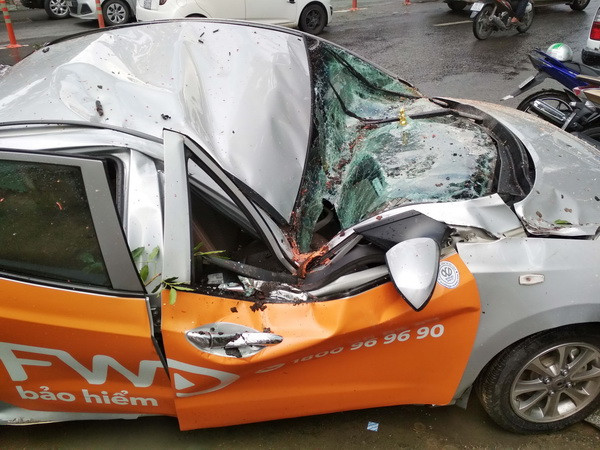 TP.HCM: Cây xanh bật gốc đè bẹp xe 4 chỗ, 1 người bị thương ảnh 2