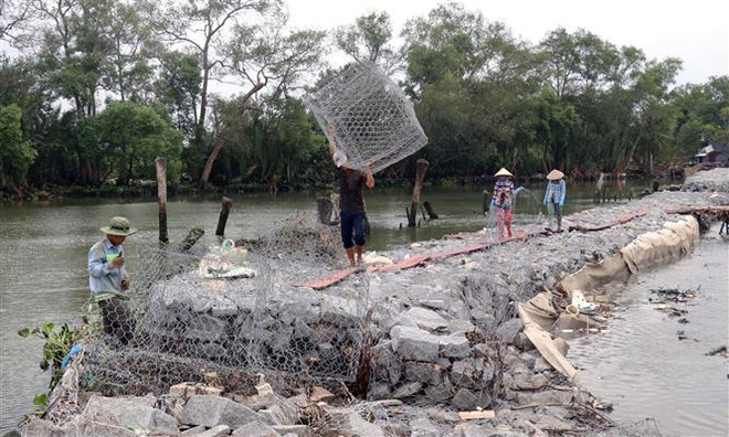 'Đầu tư công hiệu quả nâng sức cạnh tranh nền kinh tế' ảnh 3