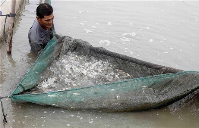 Việt Nam đặt mục tiêu thu nhập bình quân đầu người lên 5.000 USD ảnh 1