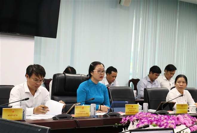 Doanh nghiệp Nhật muốn mở nhà máy vật liệu xây dựng tại tỉnh Vĩnh Long ảnh 2