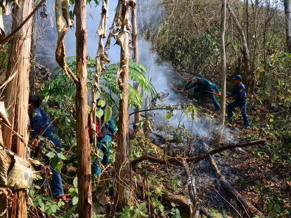 Hai vụ cháy liên tiếp tại Lào Cai thiêu rụi hàng chục ha rừng ảnh 1