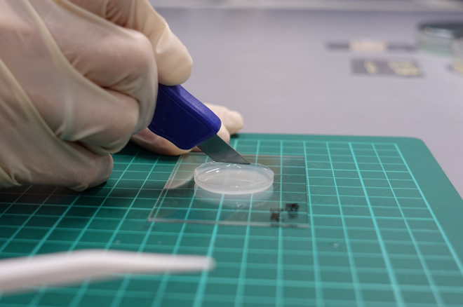 Singapore phát triển da nhân tạo có thể cảm nhận như da thật ảnh 1