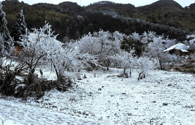 Khả năng xuất hiện mưa tuyết và băng giá ở vùng núi cao Bắc Bộ ảnh 1