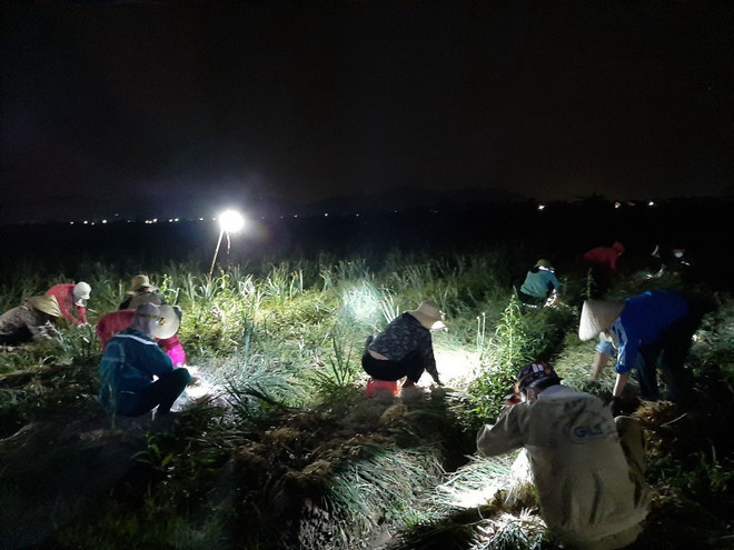 Hải Dương: Những hành động đẹp giữa tâm dịch bệnh COVID-19 ảnh 1