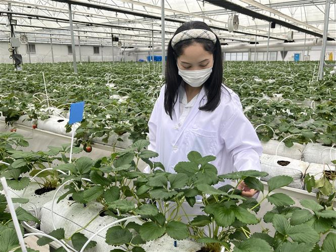 Thái Lan tham gia cuộc đua thu hút nhân tài nước ngoài cho nền kinh tế ảnh 1