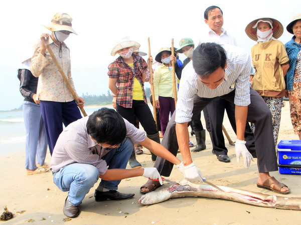 Những nguyên nhân dẫn tới hiện tượng hải sản chết đột ngột ảnh 1