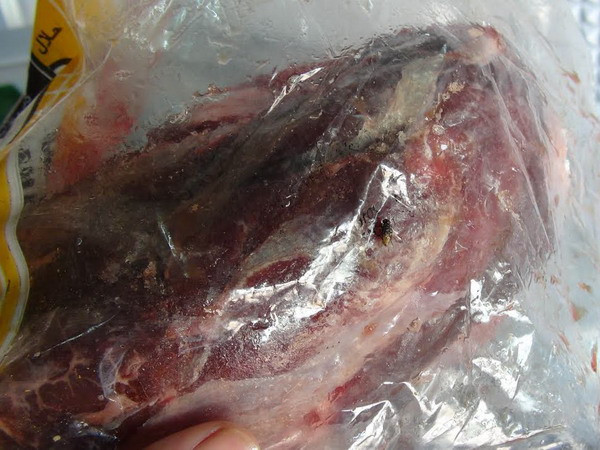 Truy xuất nguồn gốc thực phẩm bẩn vụ 300 công nhân bị ngộ độc ảnh 2