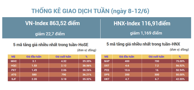 Tuần tới, VN-Index dự báo tiếp tục rung lắc dưới mốc 900 điểm ảnh 2