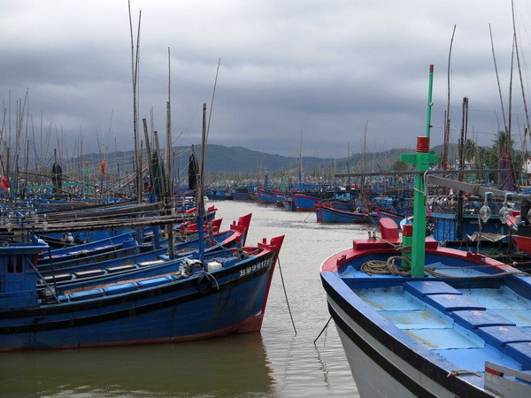 Hàng ngàn tàu thuyền đã vào âu thuyền Tam Quan Bắc, huyện Hoài Nhơn, Bình Định để tránh trú áp thấp nhiệt đới. (Ảnh: Viết Ý/TTXVN) Áp thấp nhiệt đới gần bờ, trạm đảo Phú Quý đã có gió giật cấp 7 ảnh 1