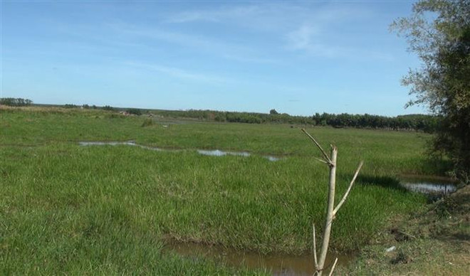 Đắk Nông: Thu hồi đất của 22 dự án để phát triển kinh tế-xã hội ảnh 1