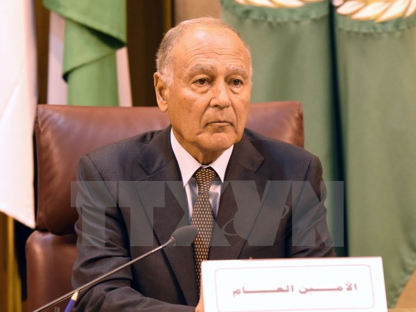 Tổng Thư ký AL: Nội chiến trong khu vực cản trở nỗ lực phát triển ảnh 1