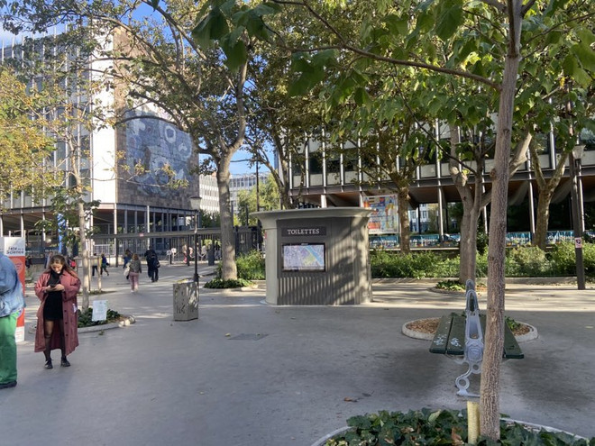 Du khách Việt với "cú sốc" về nhà vệ sinh công cộng tại Paris ảnh 1