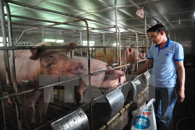 Sự kiện trong nước 1-7/5: Công bố thi hành kỷ luật ông Đinh La Thăng ảnh 4